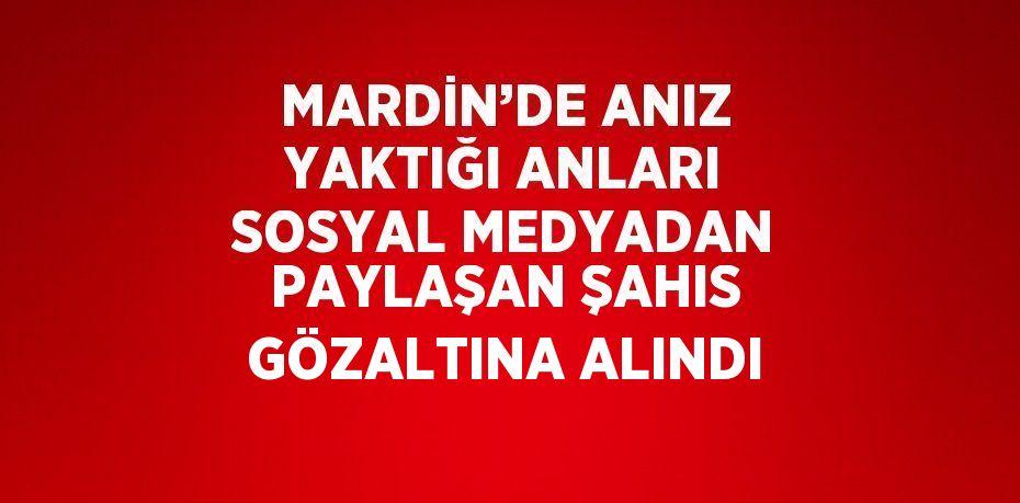 MARDİN’DE ANIZ YAKTIĞI ANLARI SOSYAL MEDYADAN PAYLAŞAN ŞAHIS GÖZALTINA ALINDI