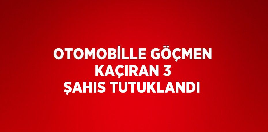 OTOMOBİLLE GÖÇMEN KAÇIRAN 3 ŞAHIS TUTUKLANDI