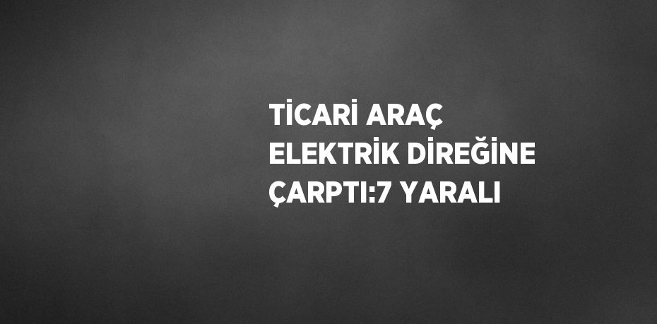 TİCARİ ARAÇ ELEKTRİK DİREĞİNE ÇARPTI:7 YARALI