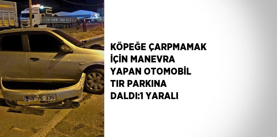 KÖPEĞE ÇARPMAMAK İÇİN MANEVRA YAPAN OTOMOBİL TIR PARKINA DALDI:1 YARALI