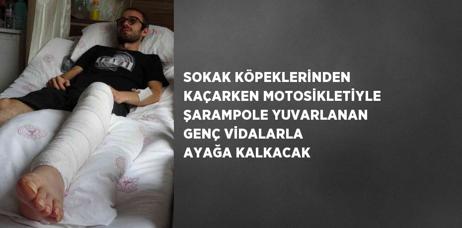 SOKAK KÖPEKLERİNDEN KAÇARKEN MOTOSİKLETİYLE ŞARAMPOLE YUVARLANAN GENÇ VİDALARLA AYAĞA KALKACAK