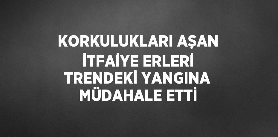 KORKULUKLARI AŞAN İTFAİYE ERLERİ TRENDEKİ YANGINA MÜDAHALE ETTİ