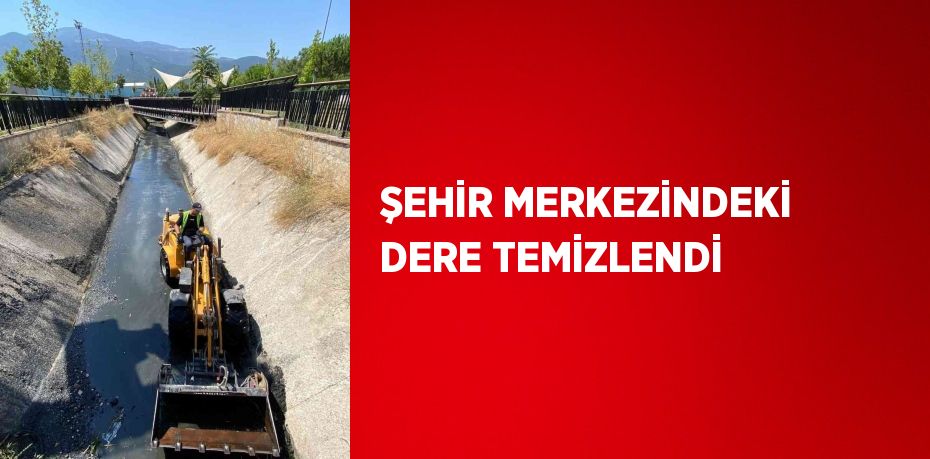 ŞEHİR MERKEZİNDEKİ DERE TEMİZLENDİ