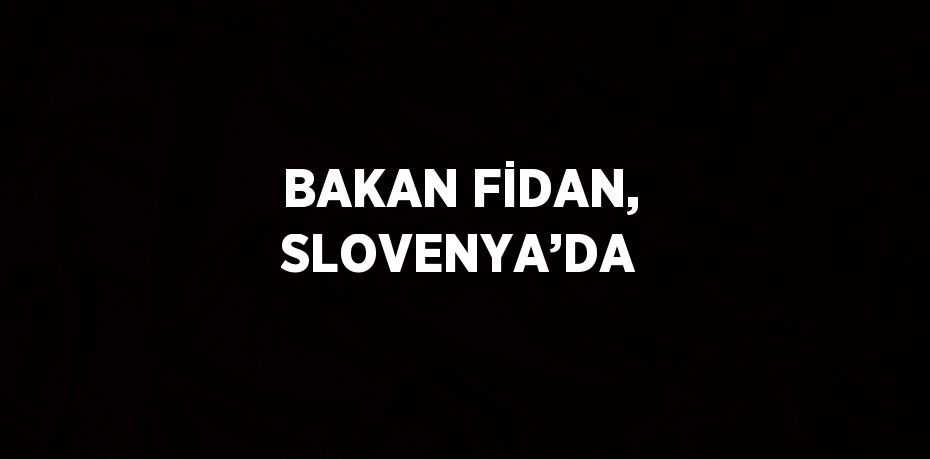 BAKAN FİDAN, SLOVENYA’DA