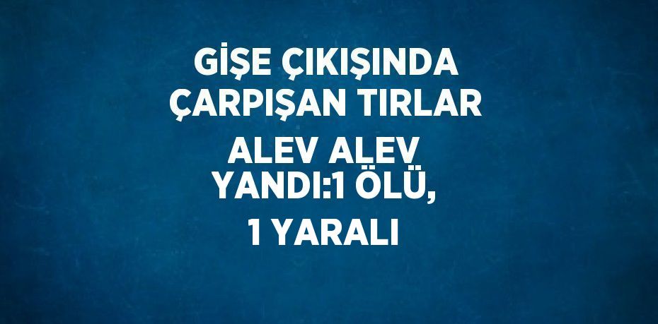 GİŞE ÇIKIŞINDA ÇARPIŞAN TIRLAR ALEV ALEV YANDI:1 ÖLÜ, 1 YARALI