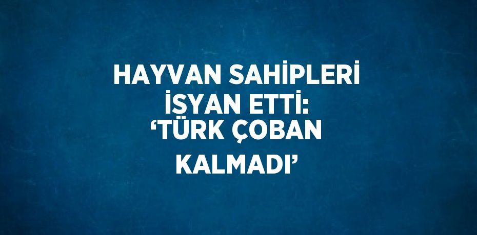 HAYVAN SAHİPLERİ İSYAN ETTİ: ‘TÜRK ÇOBAN KALMADI’