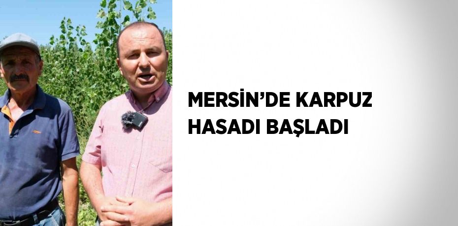 MERSİN’DE KARPUZ HASADI BAŞLADI