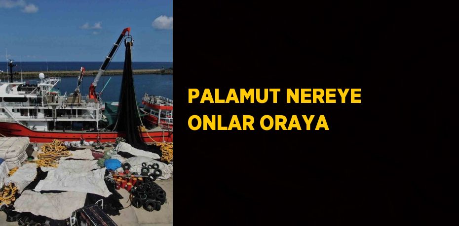 PALAMUT NEREYE ONLAR ORAYA