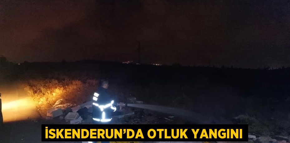 İSKENDERUN’DA OTLUK YANGINI