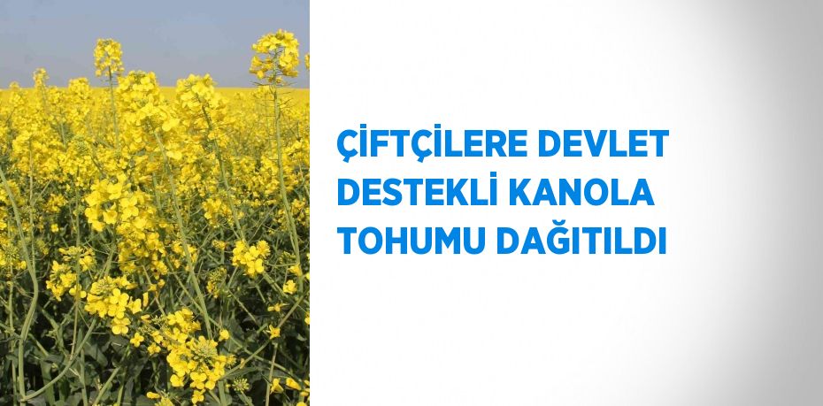 ÇİFTÇİLERE DEVLET DESTEKLİ KANOLA TOHUMU DAĞITILDI