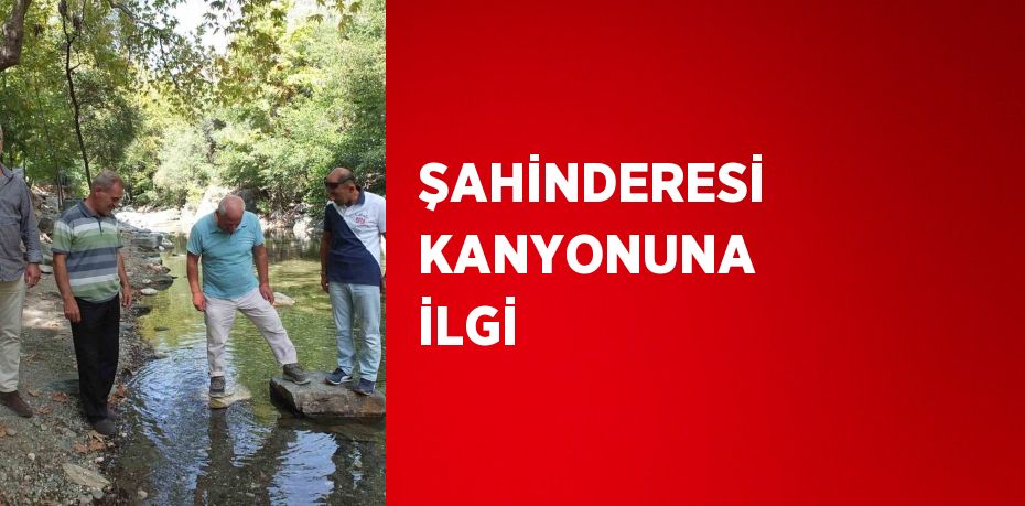 ŞAHİNDERESİ KANYONUNA İLGİ