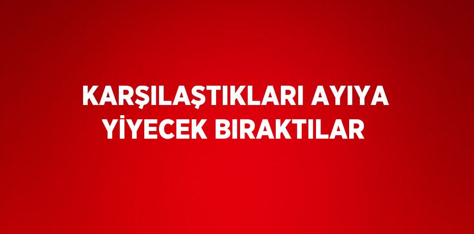 KARŞILAŞTIKLARI AYIYA YİYECEK BIRAKTILAR