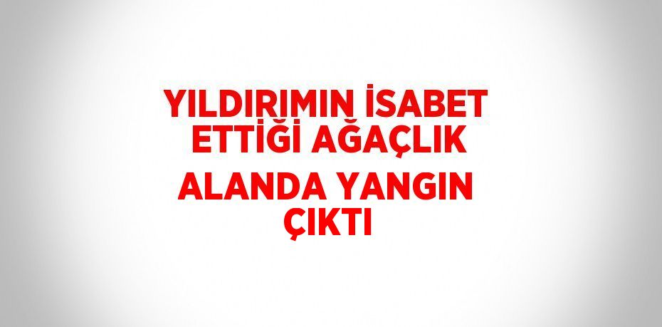 YILDIRIMIN İSABET ETTİĞİ AĞAÇLIK ALANDA YANGIN ÇIKTI
