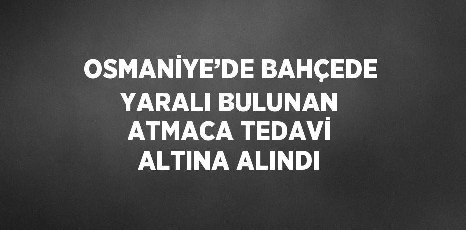 OSMANİYE’DE BAHÇEDE YARALI BULUNAN ATMACA TEDAVİ ALTINA ALINDI