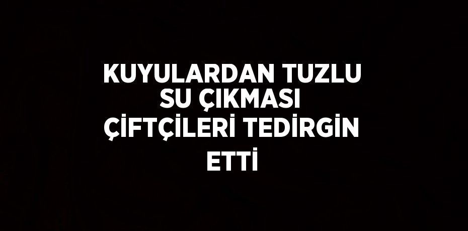 KUYULARDAN TUZLU SU ÇIKMASI ÇİFTÇİLERİ TEDİRGİN ETTİ