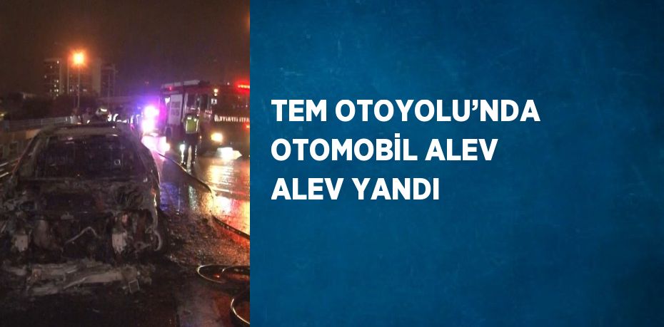 TEM OTOYOLU’NDA OTOMOBİL ALEV ALEV YANDI