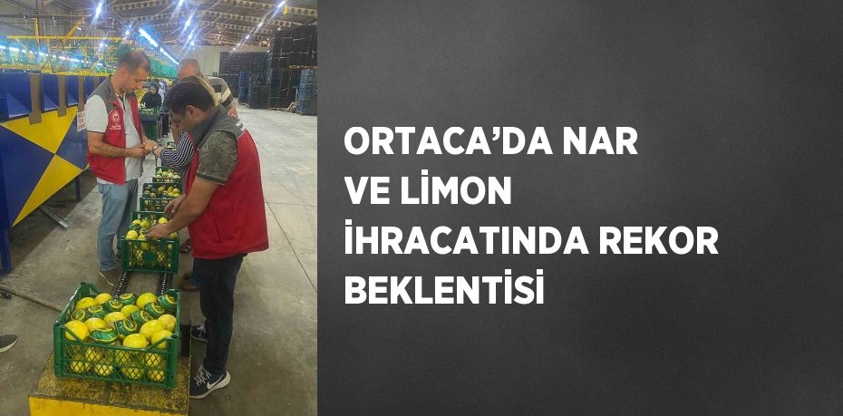 ORTACA’DA NAR VE LİMON İHRACATINDA REKOR BEKLENTİSİ