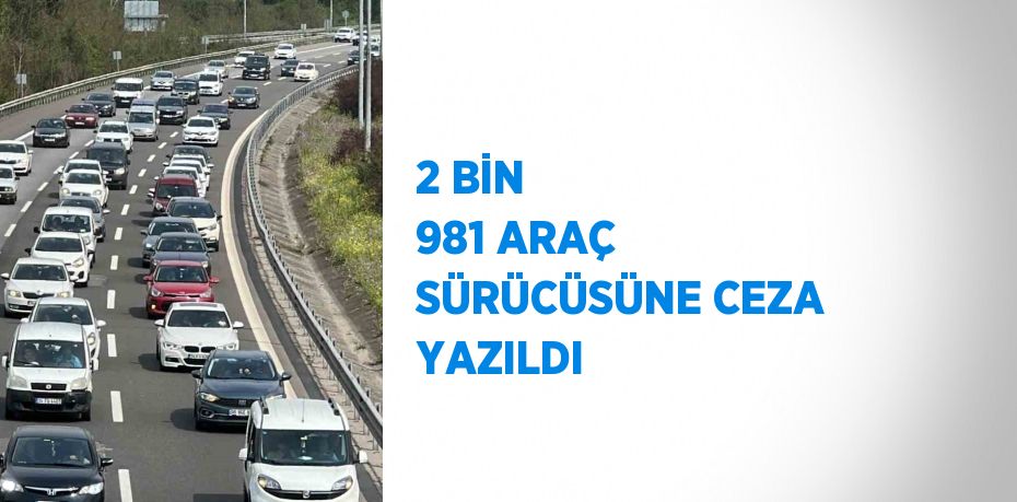 2 BİN 981 ARAÇ SÜRÜCÜSÜNE CEZA YAZILDI