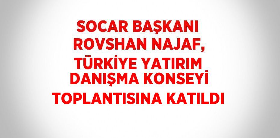 SOCAR BAŞKANI ROVSHAN NAJAF, TÜRKİYE YATIRIM DANIŞMA KONSEYİ TOPLANTISINA KATILDI