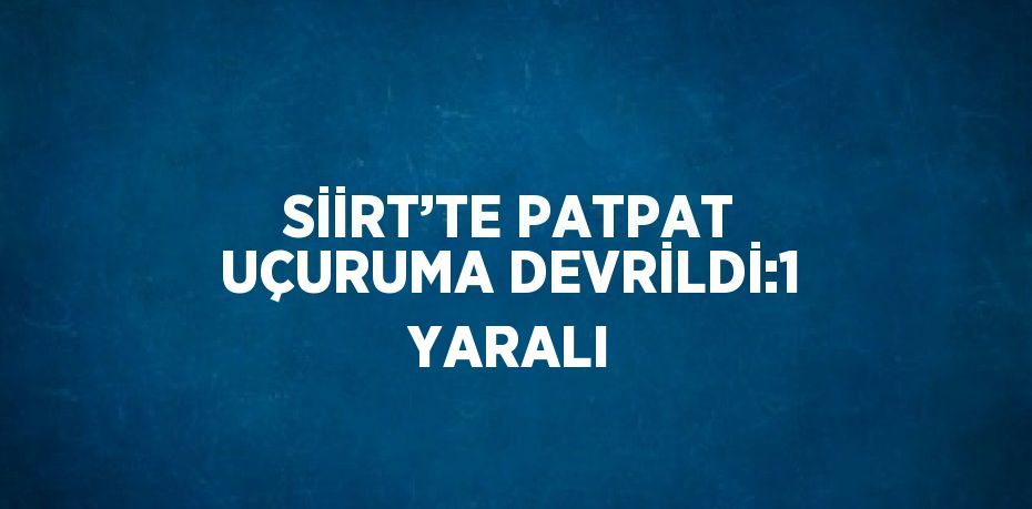 SİİRT’TE PATPAT UÇURUMA DEVRİLDİ:1 YARALI