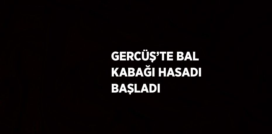GERCÜŞ’TE BAL KABAĞI HASADI BAŞLADI