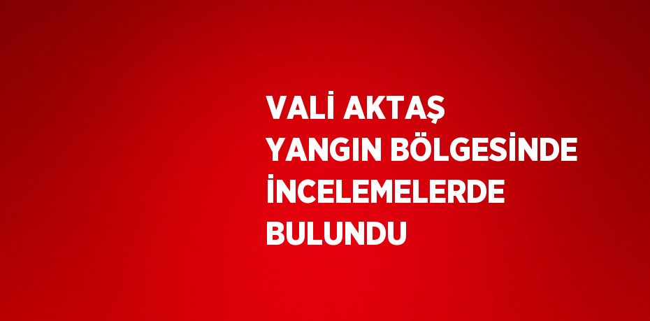 VALİ AKTAŞ YANGIN BÖLGESİNDE İNCELEMELERDE BULUNDU