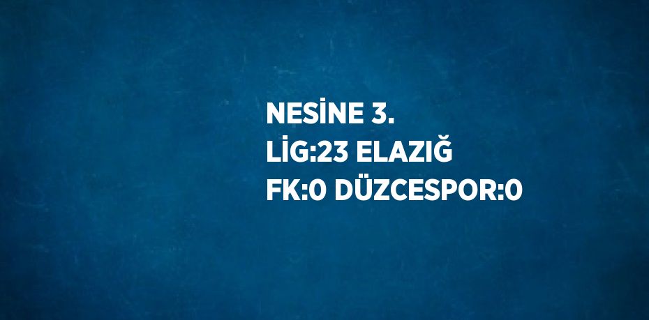 NESİNE 3. LİG:23 ELAZIĞ FK:0 DÜZCESPOR:0