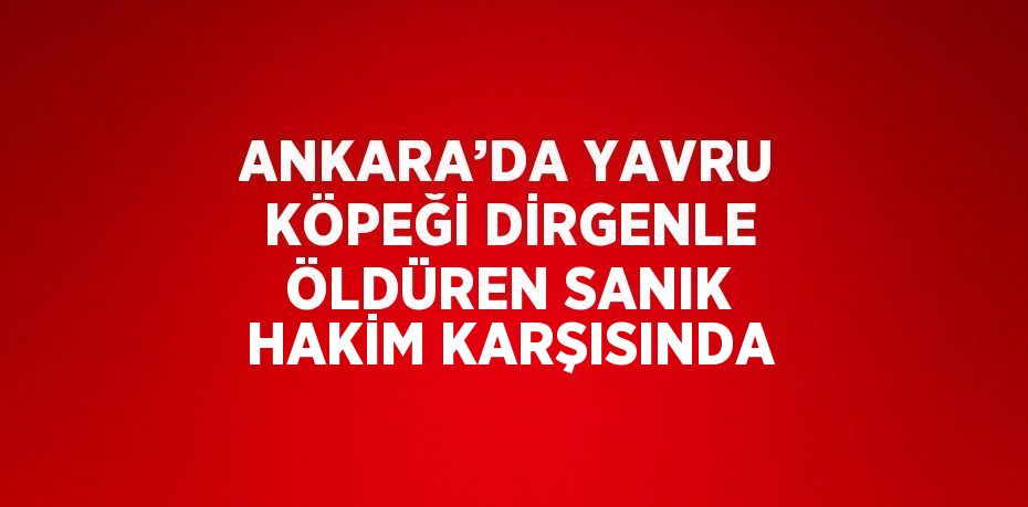 ANKARA’DA YAVRU KÖPEĞİ DİRGENLE ÖLDÜREN SANIK HAKİM KARŞISINDA