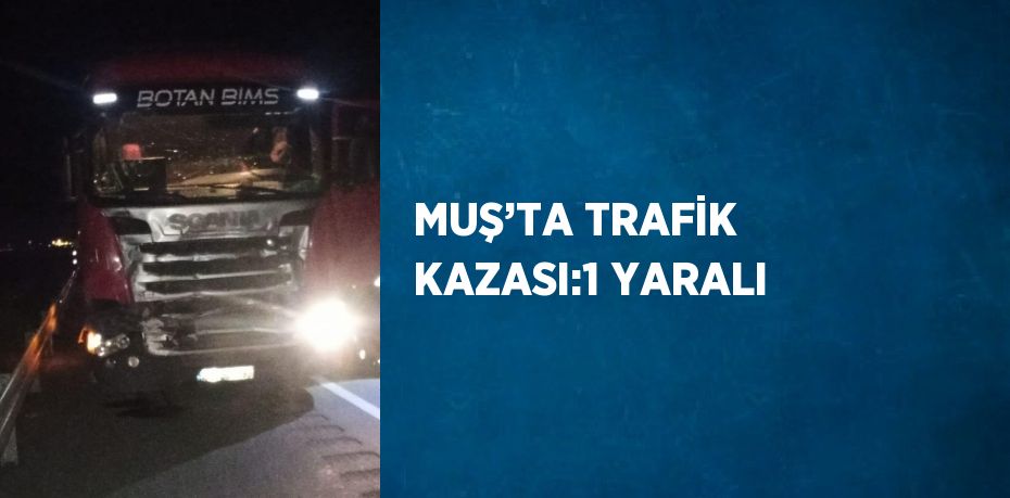 MUŞ’TA TRAFİK KAZASI:1 YARALI