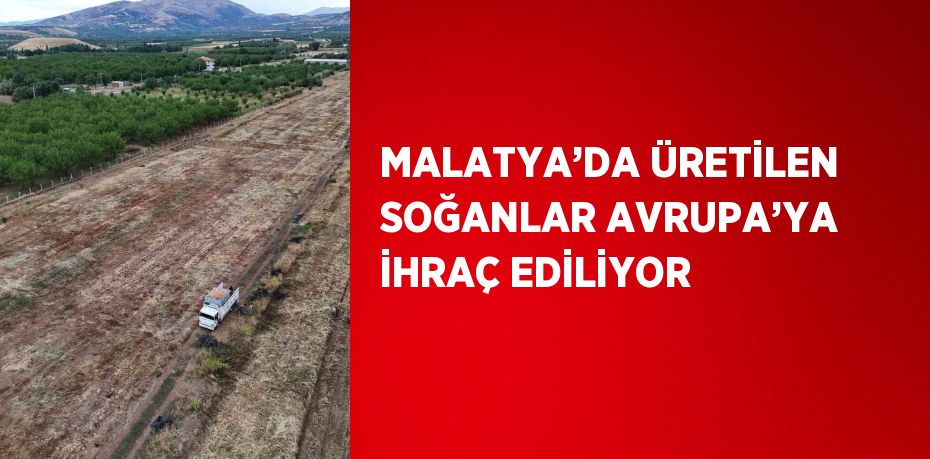 MALATYA’DA ÜRETİLEN SOĞANLAR AVRUPA’YA İHRAÇ EDİLİYOR