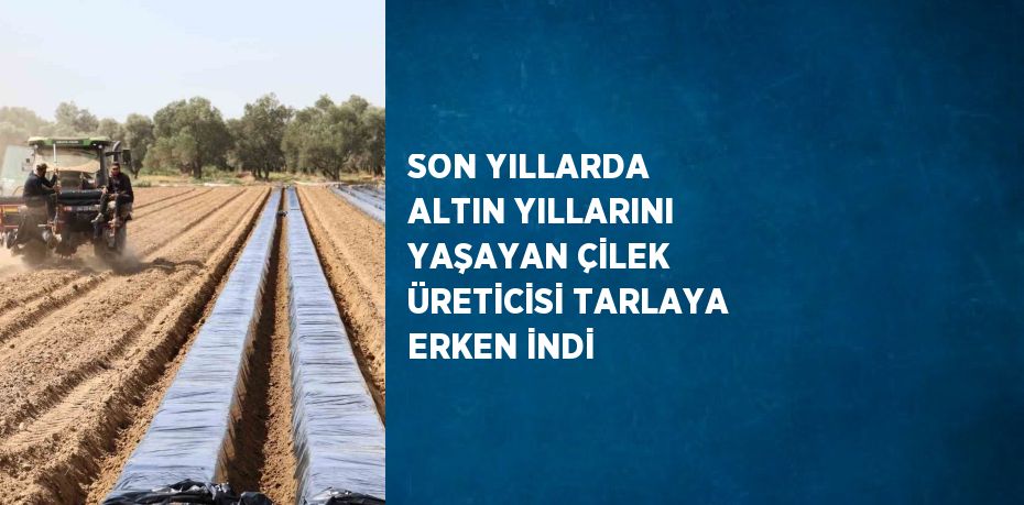 SON YILLARDA ALTIN YILLARINI YAŞAYAN ÇİLEK ÜRETİCİSİ TARLAYA ERKEN İNDİ