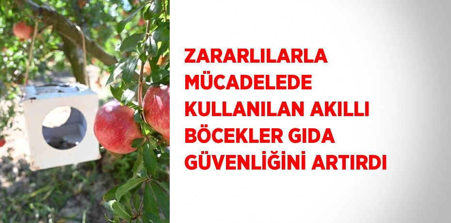 ZARARLILARLA MÜCADELEDE KULLANILAN AKILLI BÖCEKLER GIDA GÜVENLİĞİNİ ARTIRDI