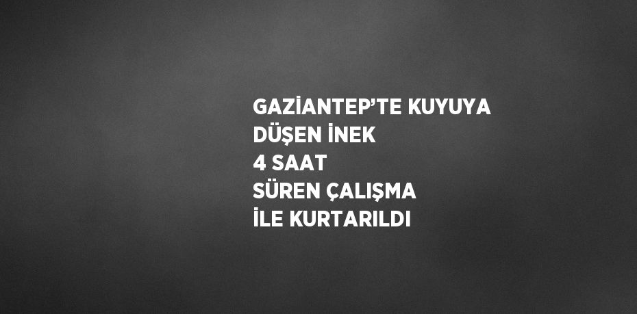 GAZİANTEP’TE KUYUYA DÜŞEN İNEK 4 SAAT SÜREN ÇALIŞMA İLE KURTARILDI