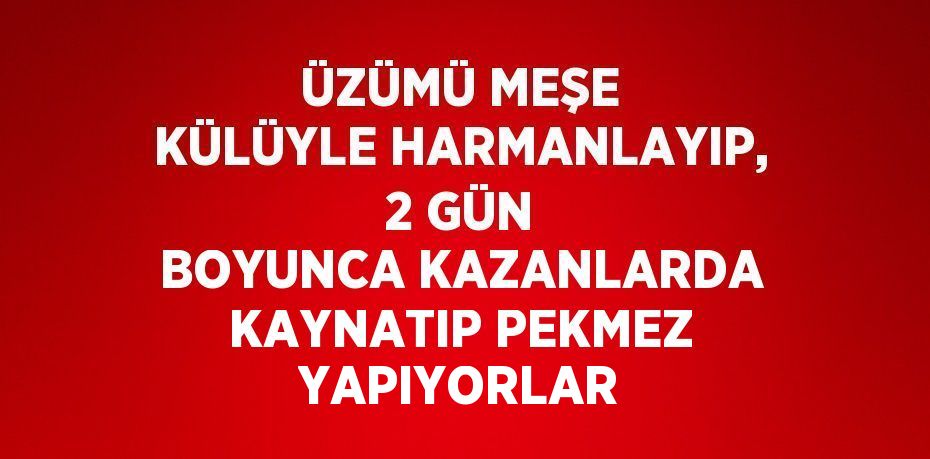 ÜZÜMÜ MEŞE KÜLÜYLE HARMANLAYIP, 2 GÜN BOYUNCA KAZANLARDA KAYNATIP PEKMEZ YAPIYORLAR