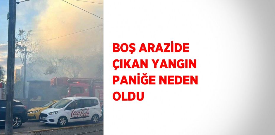 BOŞ ARAZİDE ÇIKAN YANGIN PANİĞE NEDEN OLDU