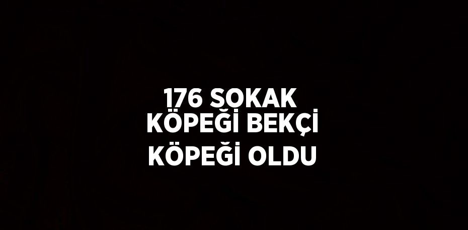 176 SOKAK KÖPEĞİ BEKÇİ KÖPEĞİ OLDU