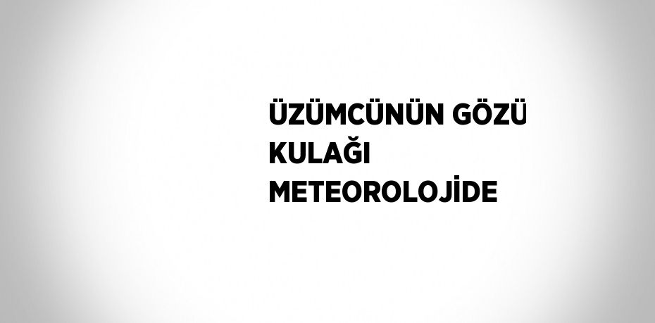 ÜZÜMCÜNÜN GÖZÜ KULAĞI METEOROLOJİDE