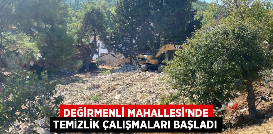 DEĞİRMENLİ MAHALLESİ'NDE TEMİZLİK ÇALIŞMALARI BAŞLADI