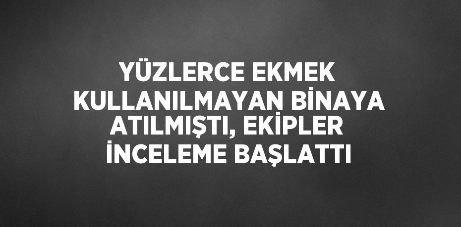 YÜZLERCE EKMEK KULLANILMAYAN BİNAYA ATILMIŞTI, EKİPLER İNCELEME BAŞLATTI