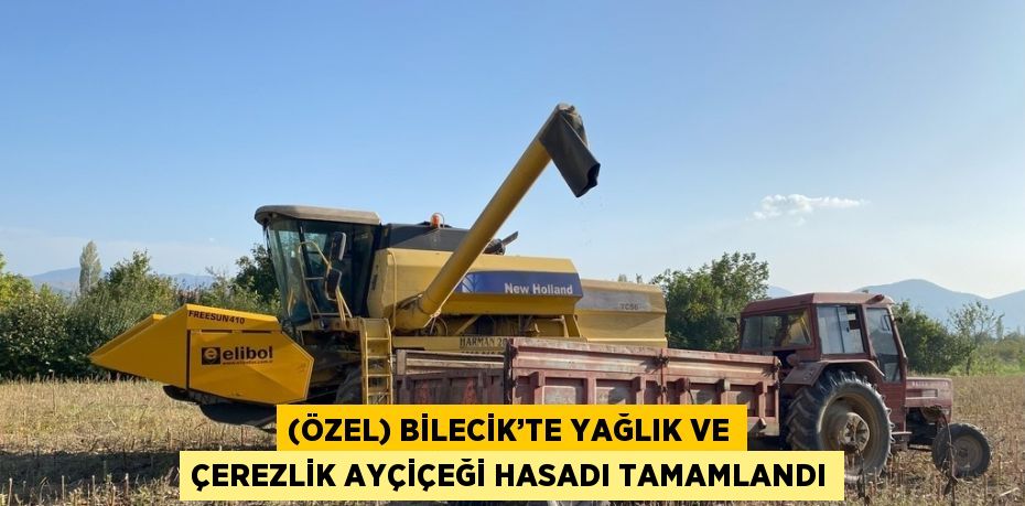 (ÖZEL) BİLECİK’TE YAĞLIK VE ÇEREZLİK AYÇİÇEĞİ HASADI TAMAMLANDI