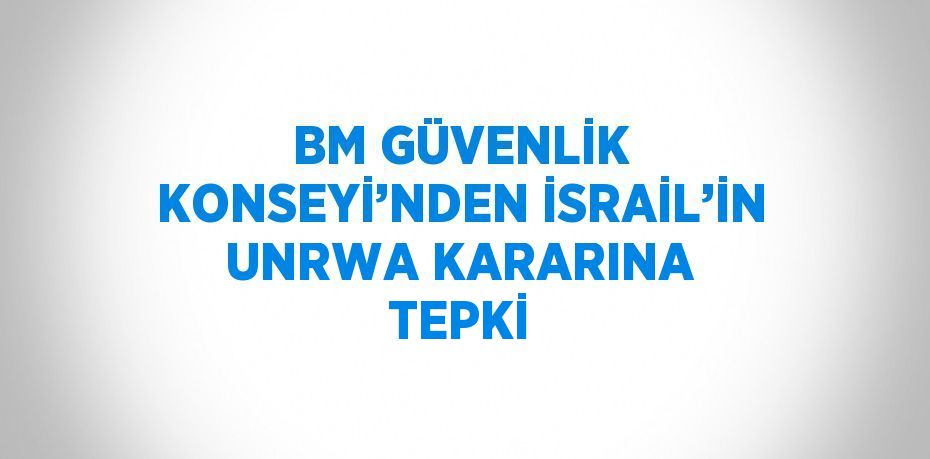 BM GÜVENLİK KONSEYİ’NDEN İSRAİL’İN UNRWA KARARINA TEPKİ