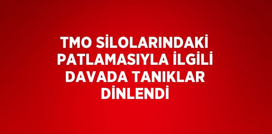 TMO SİLOLARINDAKİ PATLAMASIYLA İLGİLİ DAVADA TANIKLAR DİNLENDİ