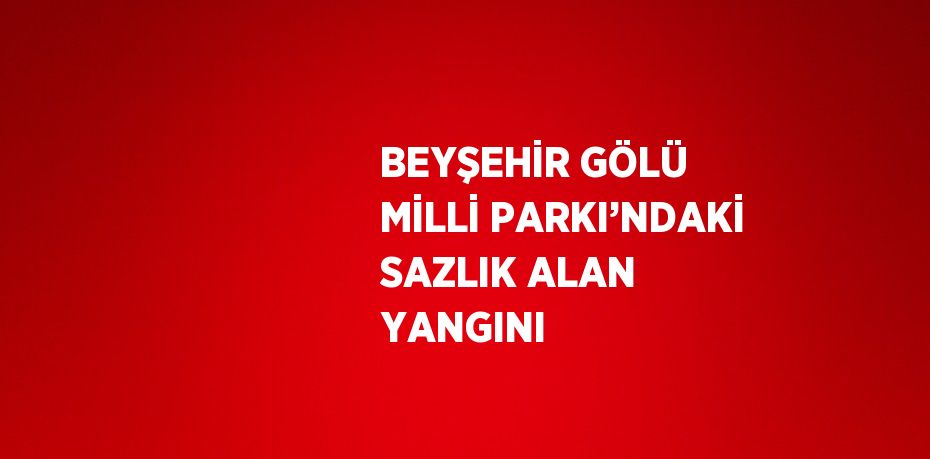 BEYŞEHİR GÖLÜ MİLLİ PARKI’NDAKİ SAZLIK ALAN YANGINI