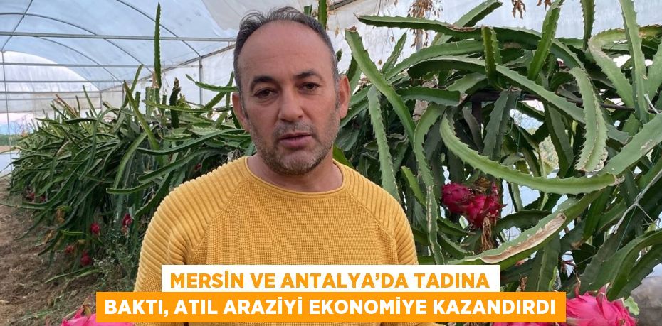 MERSİN VE ANTALYA’DA TADINA BAKTI, ATIL ARAZİYİ EKONOMİYE KAZANDIRDI