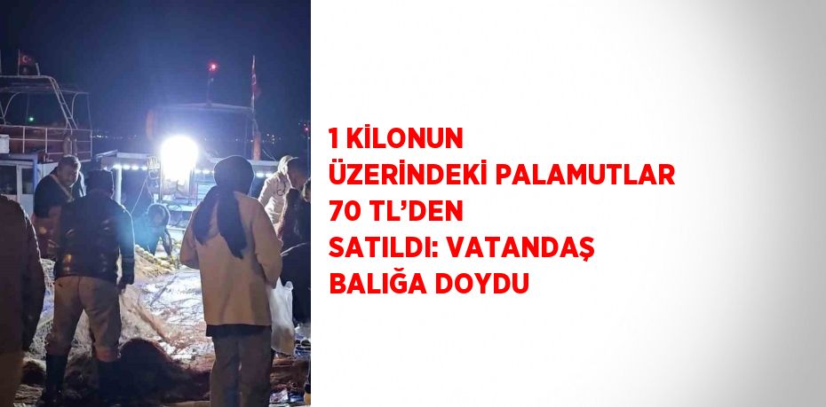 1 KİLONUN ÜZERİNDEKİ PALAMUTLAR 70 TL’DEN SATILDI: VATANDAŞ BALIĞA DOYDU