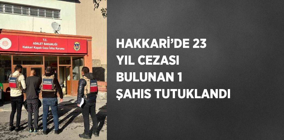 HAKKARİ’DE 23 YIL CEZASI BULUNAN 1 ŞAHIS TUTUKLANDI