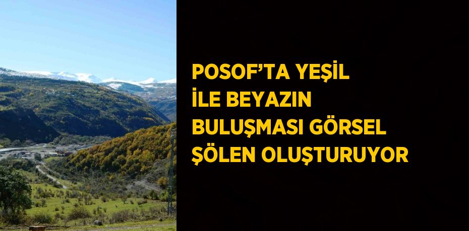 POSOF’TA YEŞİL İLE BEYAZIN BULUŞMASI GÖRSEL ŞÖLEN OLUŞTURUYOR