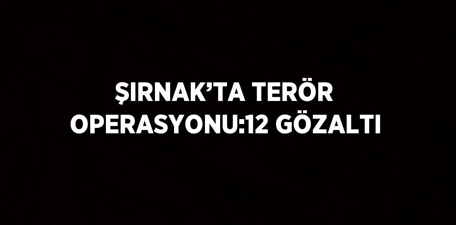 ŞIRNAK’TA TERÖR OPERASYONU:12 GÖZALTI