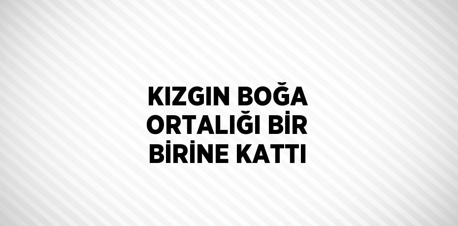 KIZGIN BOĞA ORTALIĞI BİR BİRİNE KATTI