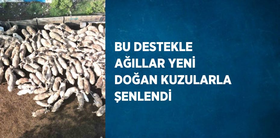 BU DESTEKLE AĞILLAR YENİ DOĞAN KUZULARLA ŞENLENDİ